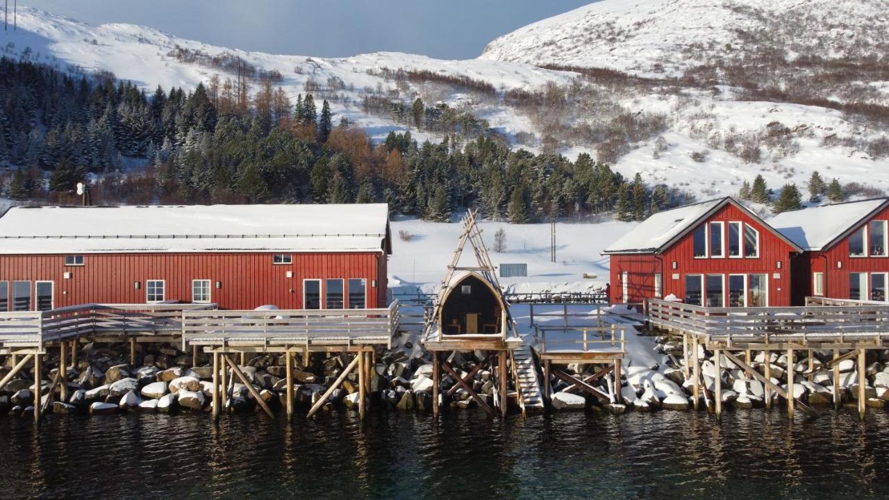 Lofoten Basecamp Leknes