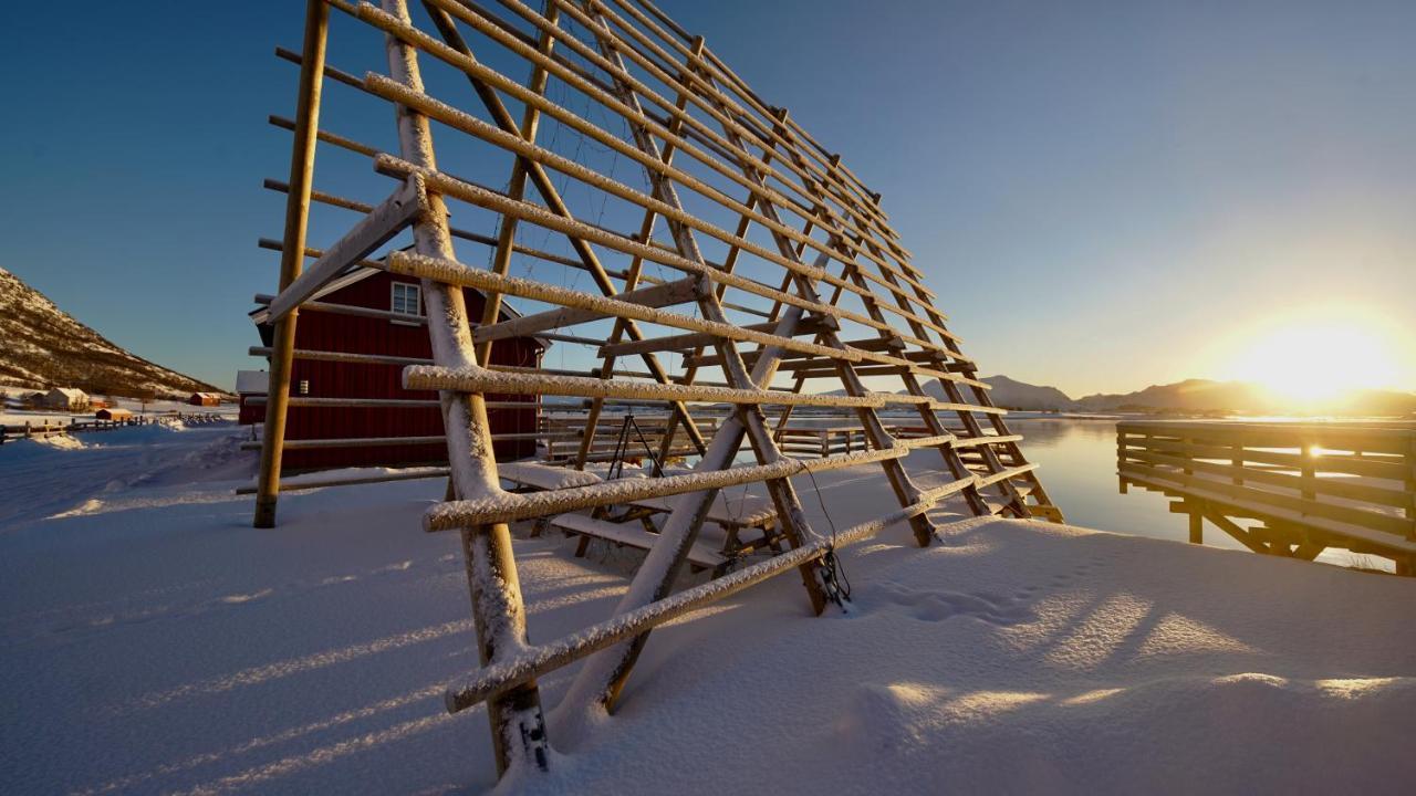 Lofoten Basecamp * Leknes