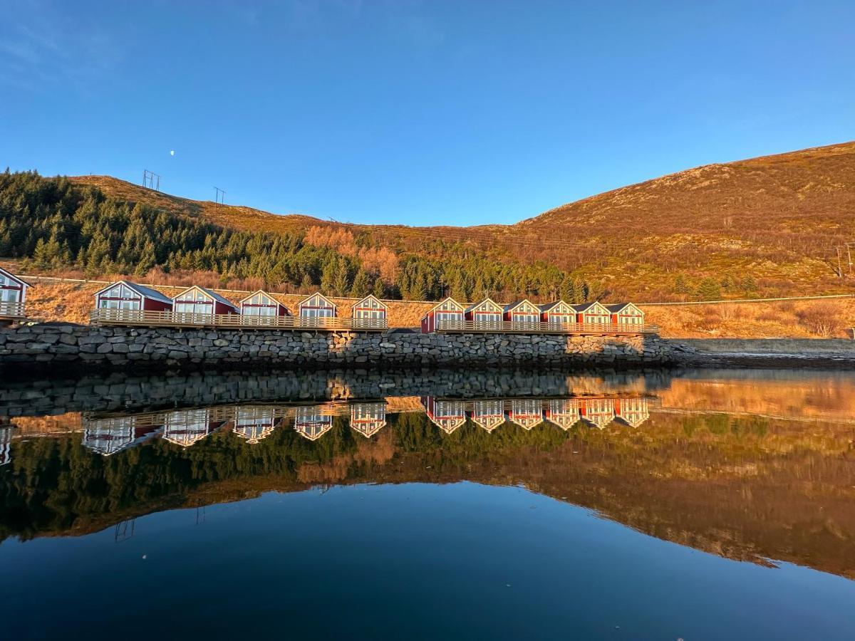 Lofoten Basecamp Jaktstuga