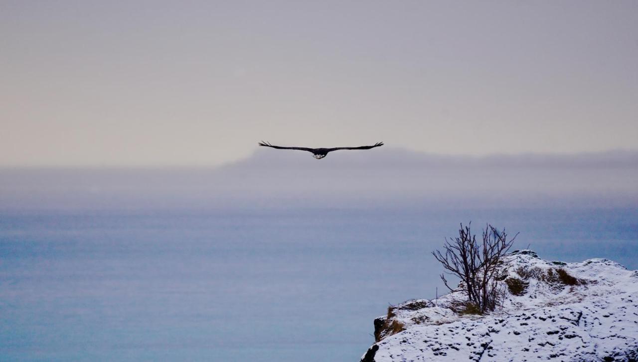 Lofoten Basecamp Lodge Leknes